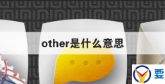 other是什么意思(the other是什么意思)